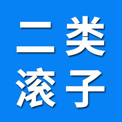 二類滾子、滾針、銷子
