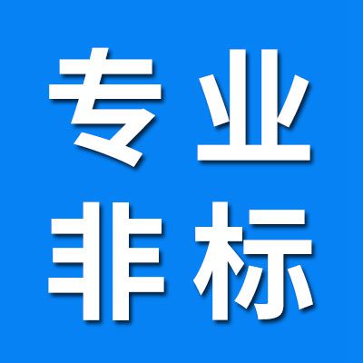 專業(yè)非標軸承制造