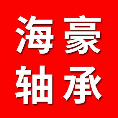 海豪零類(lèi)電機(jī)軸承