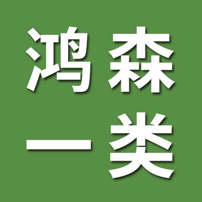 鴻森軸承一類、三類軸承