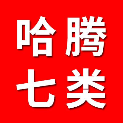 哈騰七類非標(biāo)軸承 國(guó)標(biāo)軸承