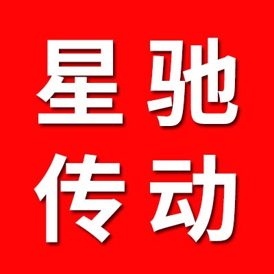 臨西縣星馳傳動(dòng)件有限公司