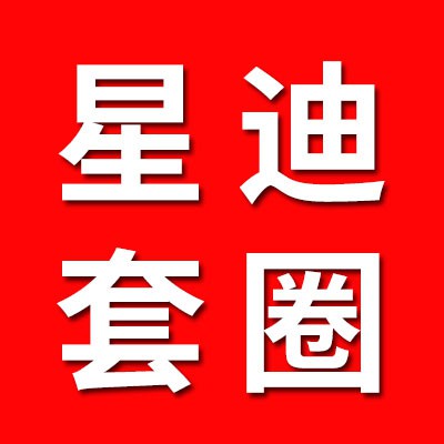 临清星迪轴承制造有限公司