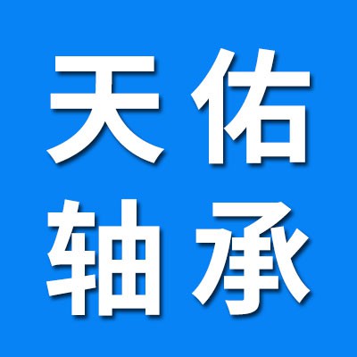 天佑高端零類(lèi)電機(jī)軸承