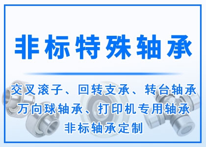  非標(biāo)丨特殊丨異型軸承定做