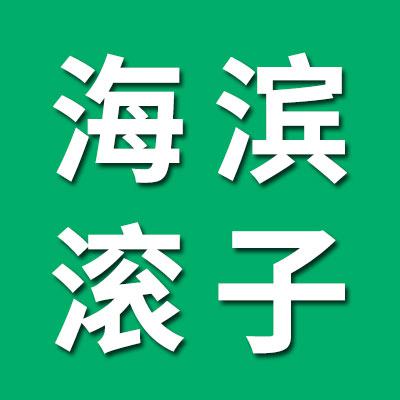 海濱球面滾子