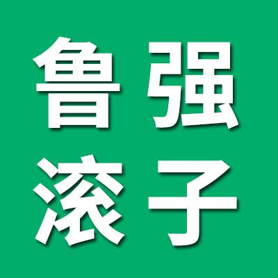 魯強(qiáng)精工正品滾子