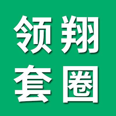 領(lǐng)翔0類高精密套圈