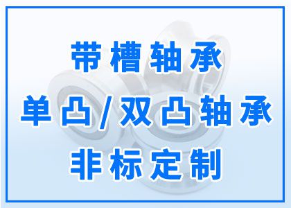 帶槽軸承丨單凸、雙凸軸承丨非標(biāo)定制