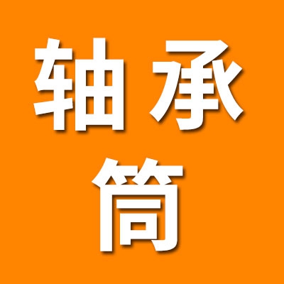 專業(yè)生產(chǎn)軸承筒