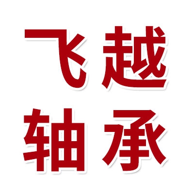 飛越微型軸承