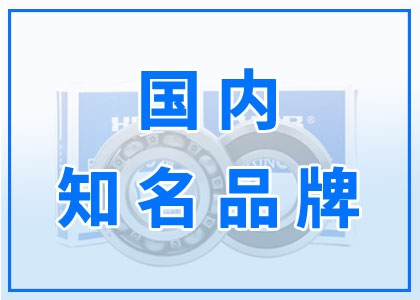 國(guó)內(nèi)知名品牌